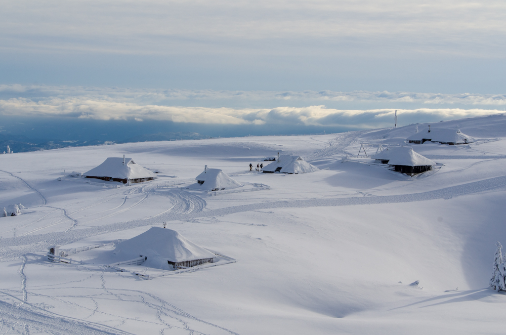 Velika Planina
